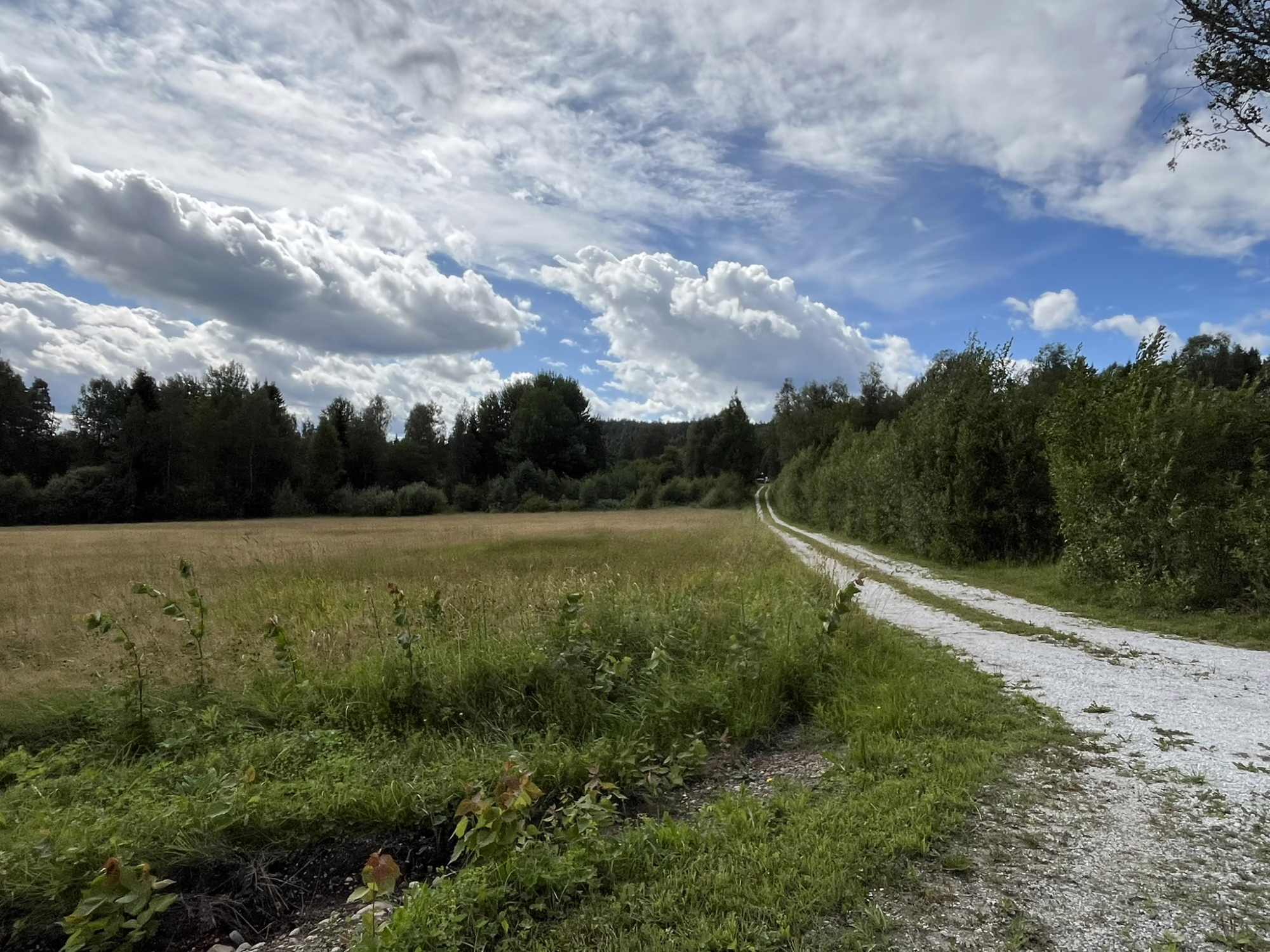landsväg genom ängar